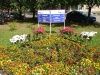 «Обработано от клещей»