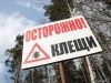 Клещи прилетели… Клещи прилетели…